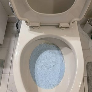 RestoraBowl Toilet Cleaner image